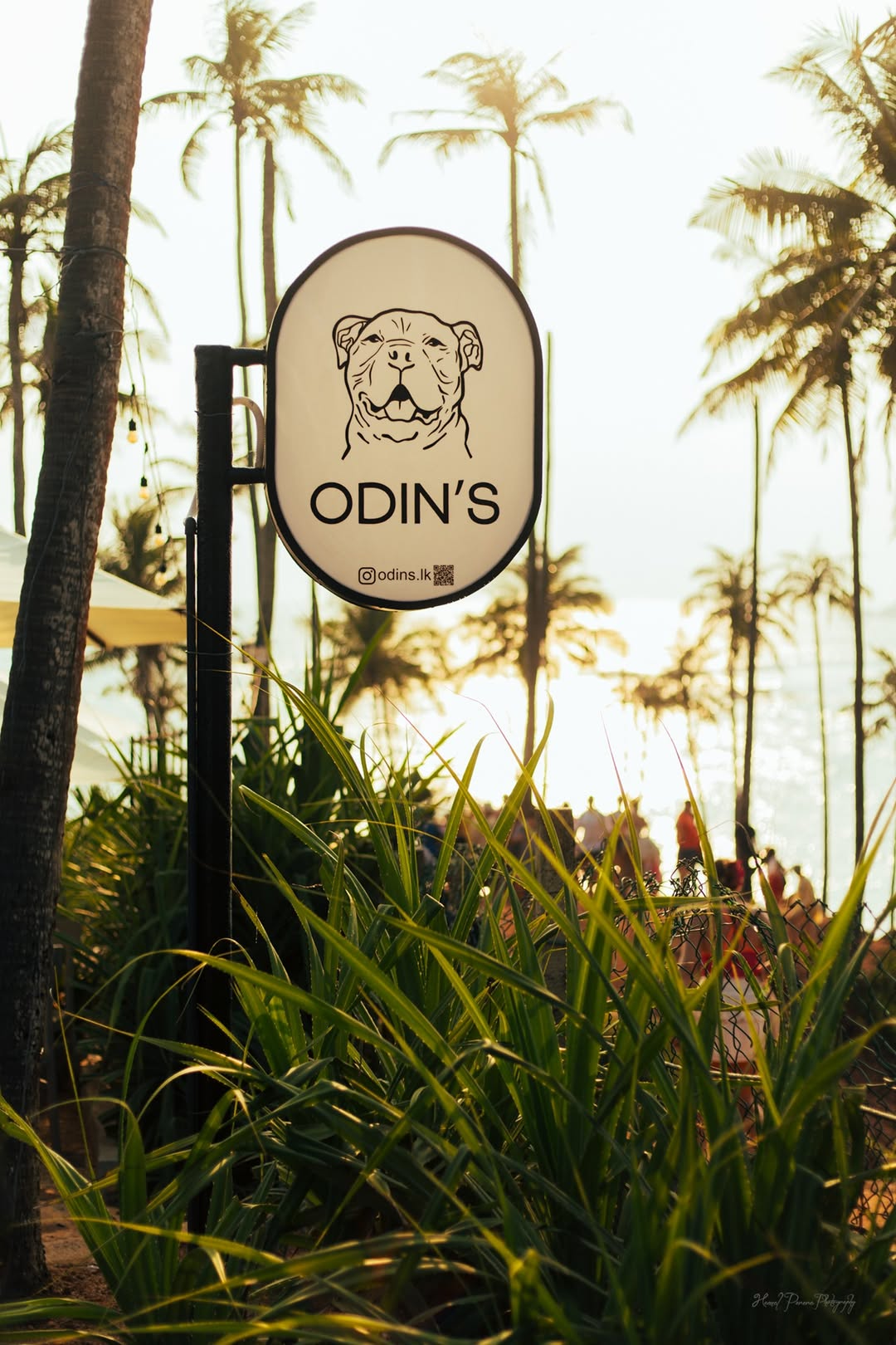 Odin's Mirissa